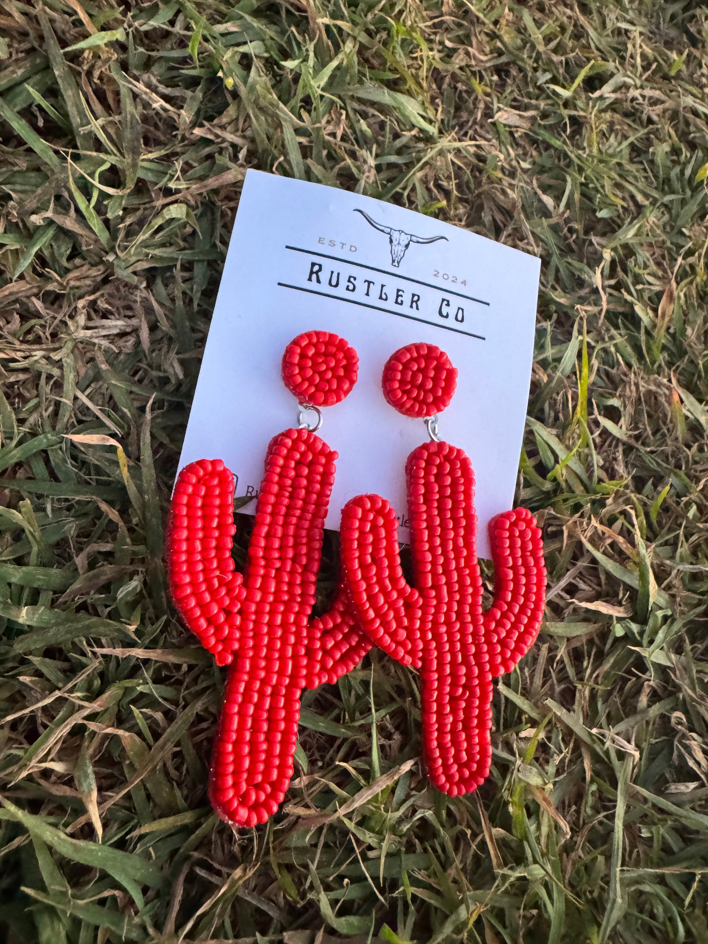 Red Beaded Cacti